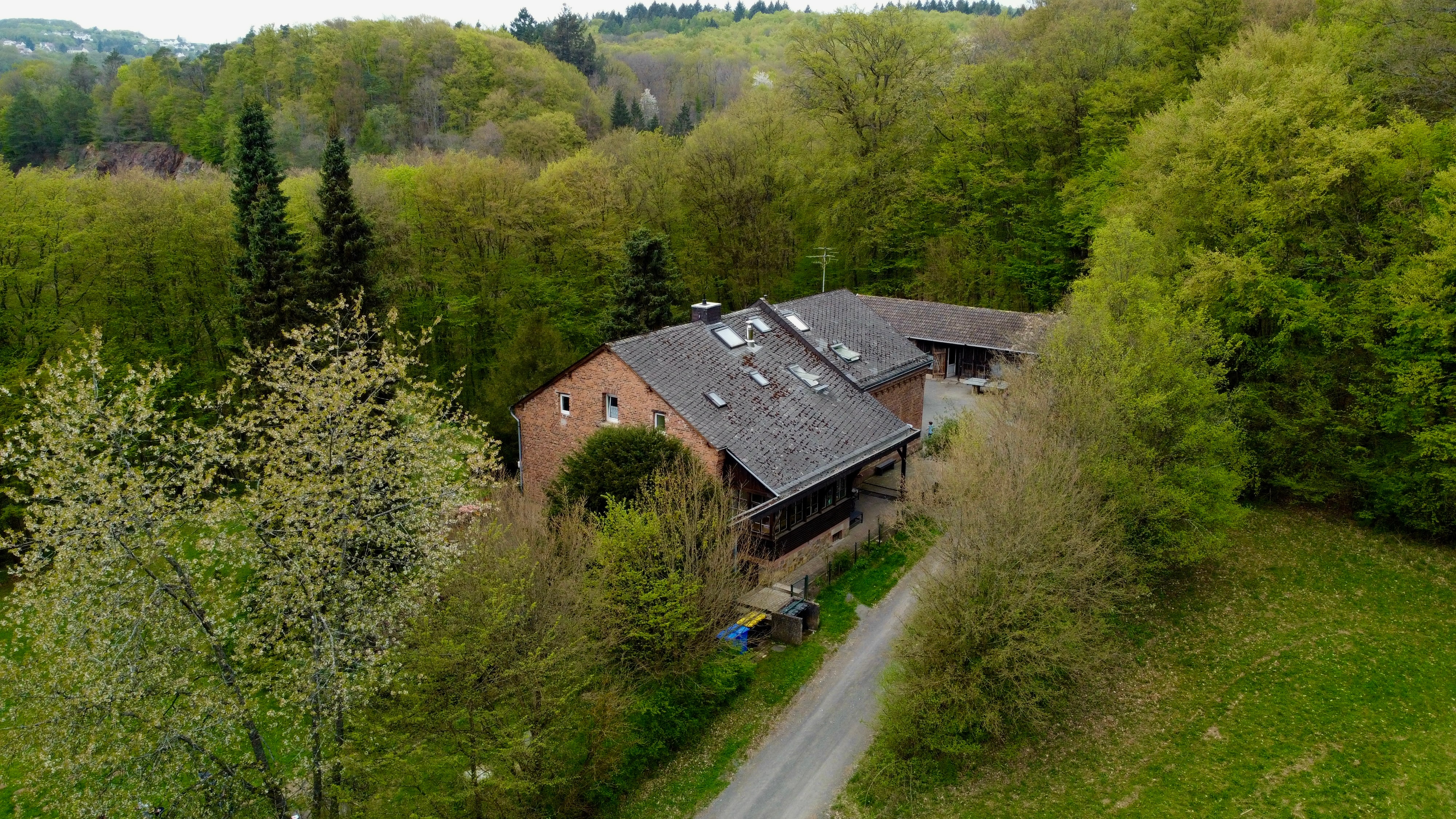 Drohnenblick auf das Freizeitheim Forsthaus, den Zufahrtsweg und den umgebenden Wald.