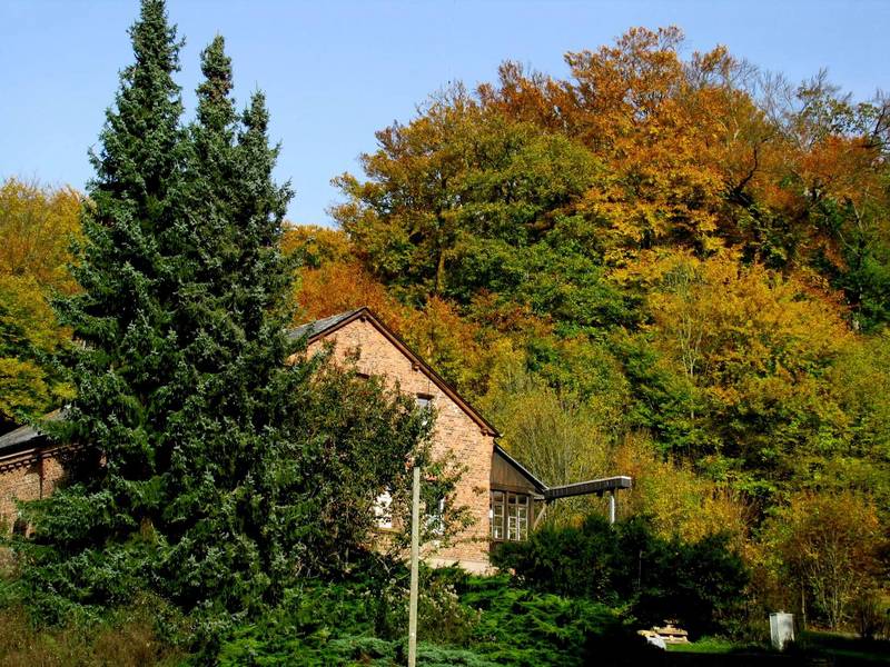 Das Freizeitheim Forsthaus am Dünsberg im Herbst, umrahmt von buntem Laubwald.